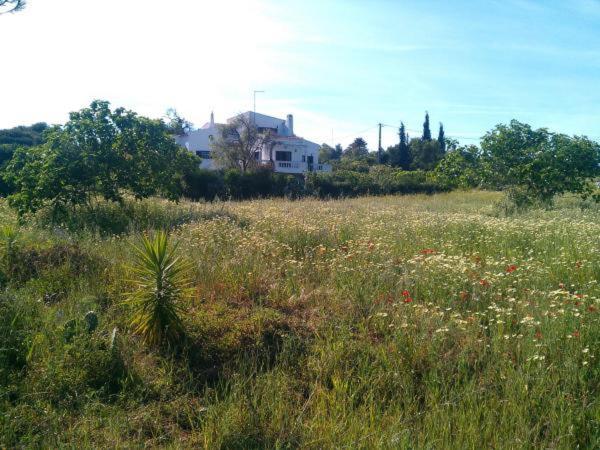 Homestay Av Fonte Coberta, Lagos, Fonte Coberta *