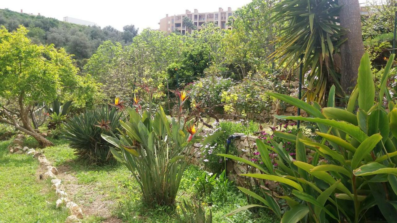 Av Fonte Coberta, Lagos, Fonte Coberta